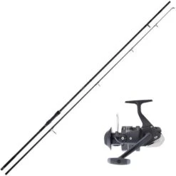 ENSEMBLE CARPE DAIWA SET CARPE 08